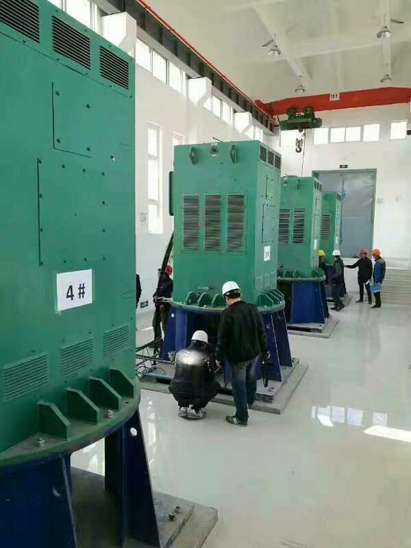 溧阳某污水处理厂使用我厂的立式高压电机安装现场